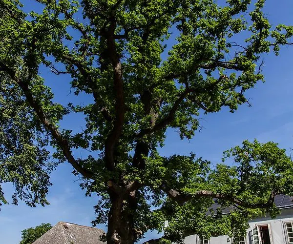 Panstvi Hotel Dlouha Lhota (Pribram)